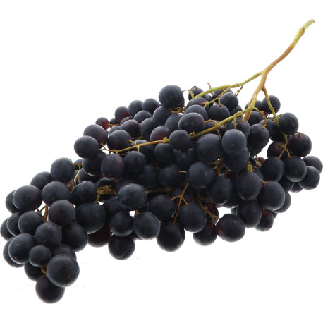 RAISIN NOIR SEEDLESS 10X500G